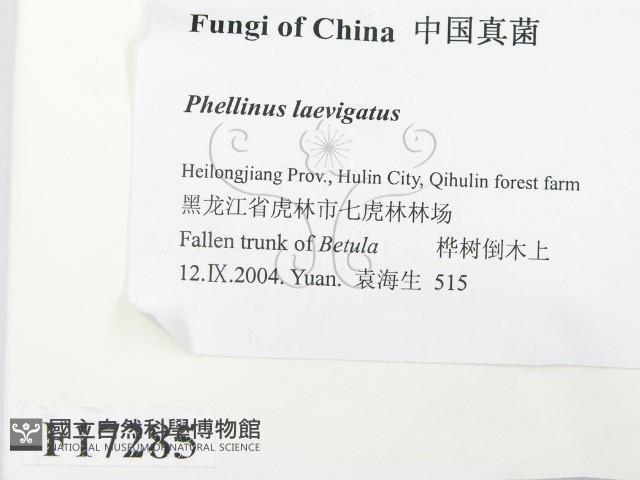 登錄號:F0017285藏品圖，第2張