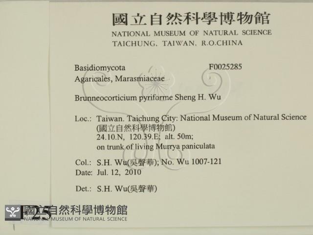 登錄號:F0025285藏品圖，第2張