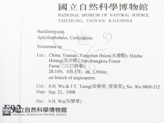 登錄號:F0009285藏品圖，第2張