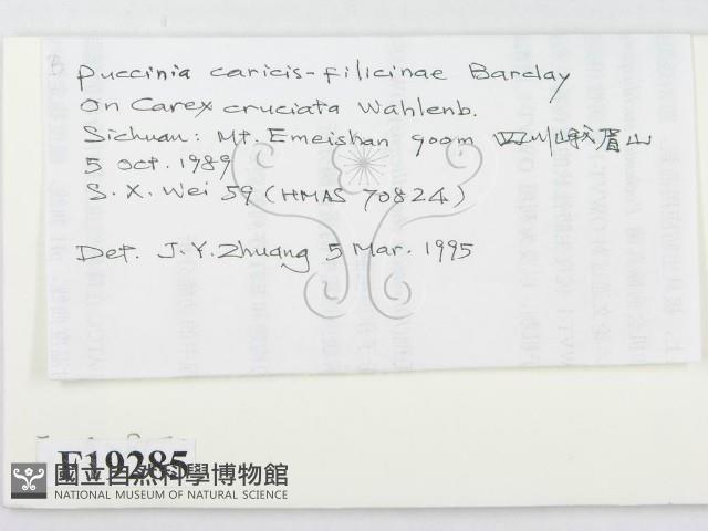登錄號:F0019285藏品圖，第2張