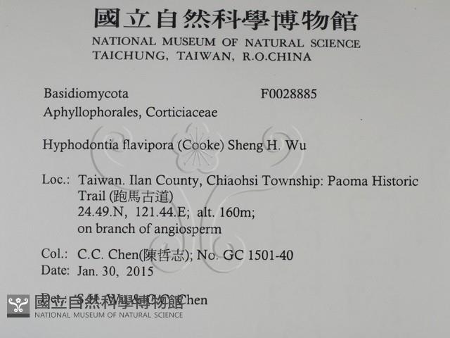 登錄號:F0028885藏品圖，第2張