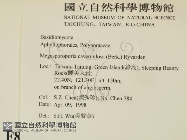 登錄號:F0008885藏品圖，第2張