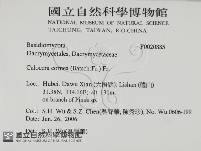 登錄號:F0020885藏品圖，第2張