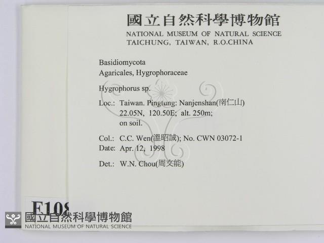 登錄號:F0010885藏品圖，第2張