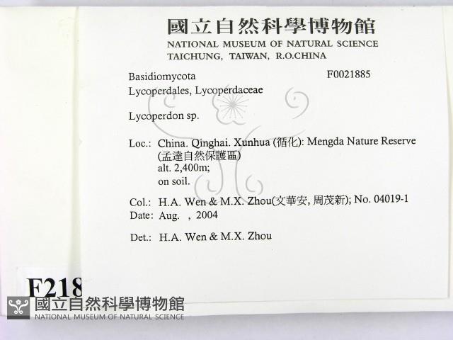 登錄號:F0021885藏品圖，第2張