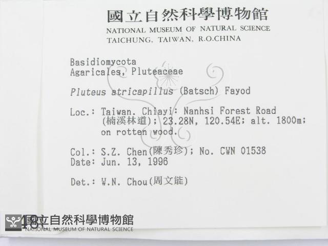 登錄號:F0004885藏品圖，第2張