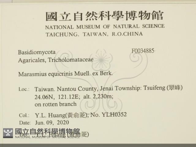 登錄號:F0034885藏品圖，第2張