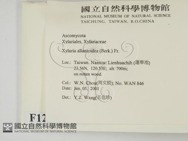 登錄號:F0012885藏品圖，第2張