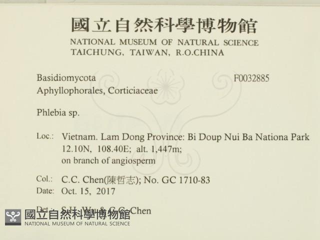 射脈菌屬藏品圖，第2張