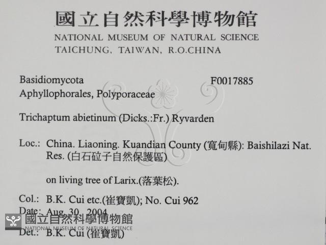 登錄號:F0017885藏品圖，第2張