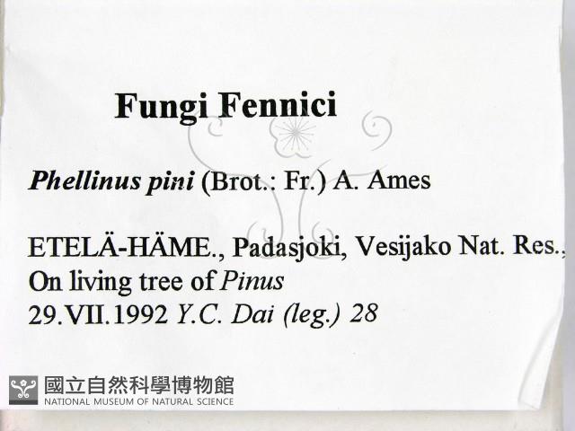 登錄號:F0005885藏品圖，第2張