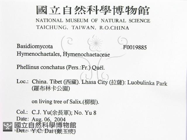 登錄號:F0019885藏品圖，第2張