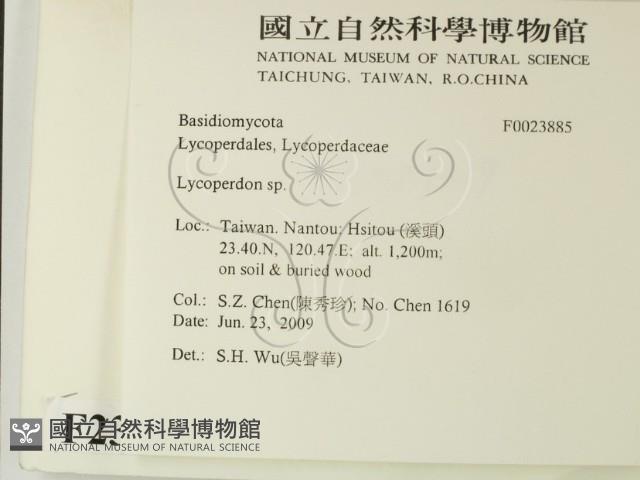 登錄號:F0023885藏品圖，第2張