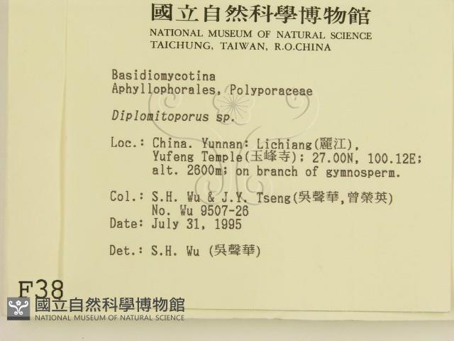 登錄號:F0003885藏品圖，第2張