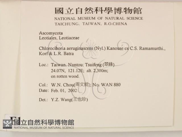 登錄號:F0013885藏品圖，第2張