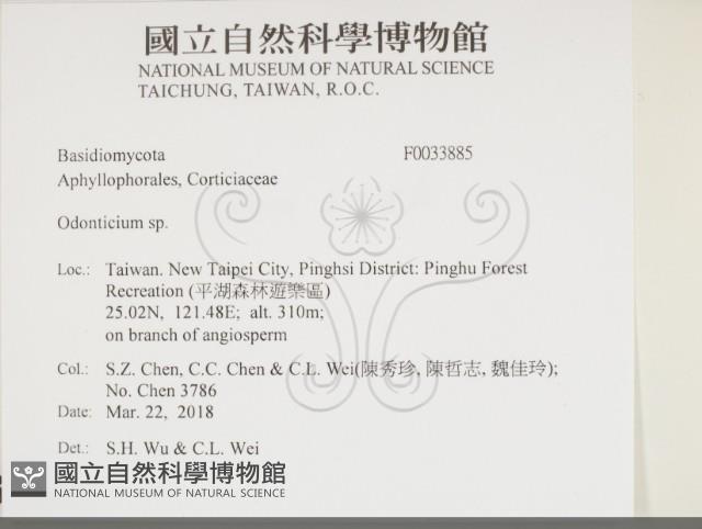 登錄號:F0033885藏品圖，第2張