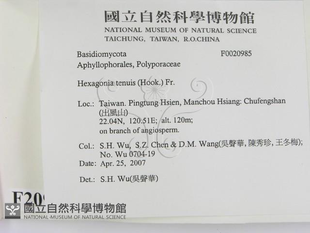 登錄號:F0020985藏品圖，第2張