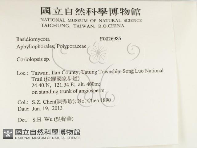 登錄號:F0026985藏品圖，第2張