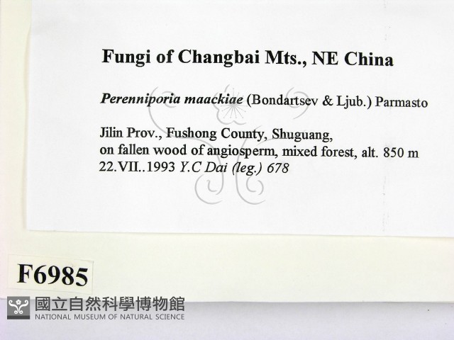 登錄號:F0006985藏品圖，第2張
