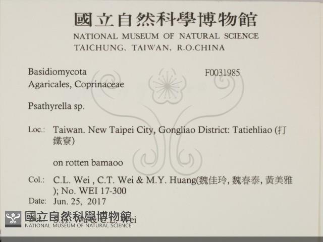 Accession Number:F0031985 Collection Image, Figure 2, Total 2 Figures