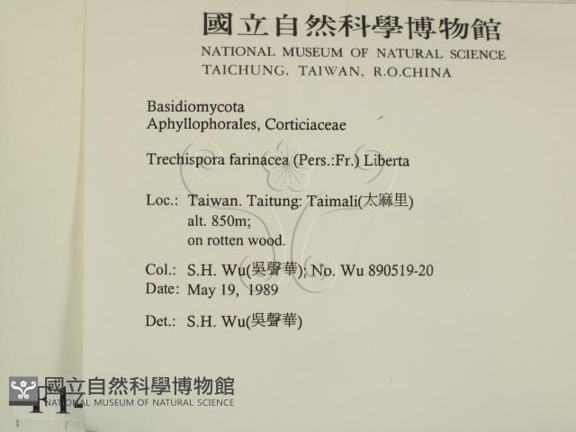 登錄號:F0014985藏品圖，第2張