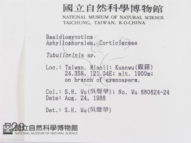 登錄號:F0002985藏品圖，第2張