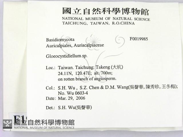 登錄號:F0019985藏品圖，第2張
