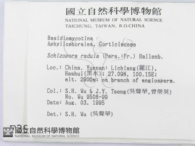 登錄號:F0003985藏品圖，第2張