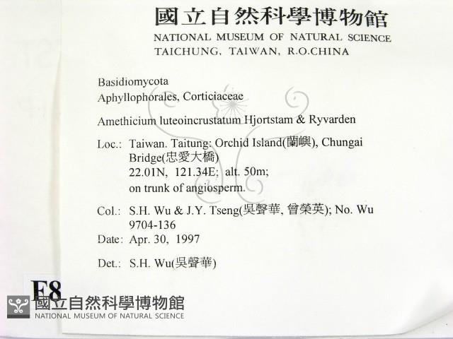 登錄號:F0008685藏品圖，第2張