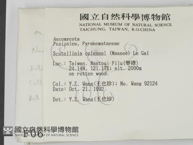 登錄號:F0000685藏品圖，第2張
