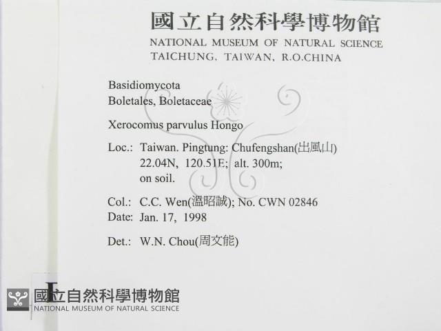 登錄號:F0010685藏品圖，第2張