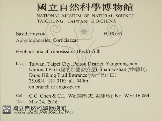 登錄號:F0030685藏品圖，第2張