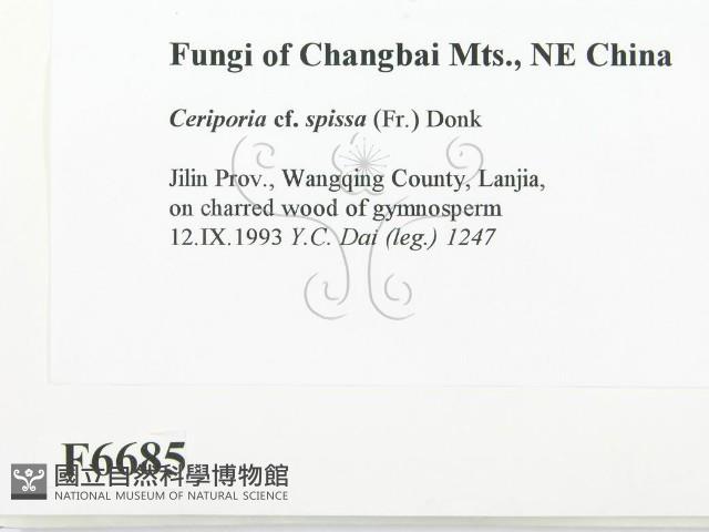 登錄號:F0006685藏品圖，第2張