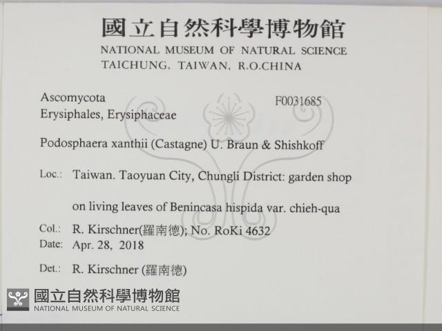登錄號:F0031685藏品圖，第2張