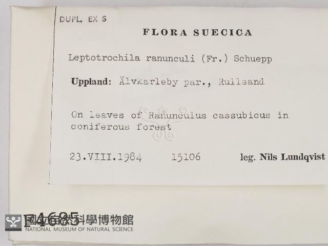 登錄號:F0004685藏品圖，第2張