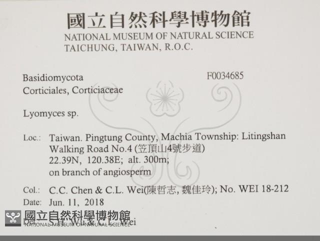 登錄號:F0034685藏品圖，第2張