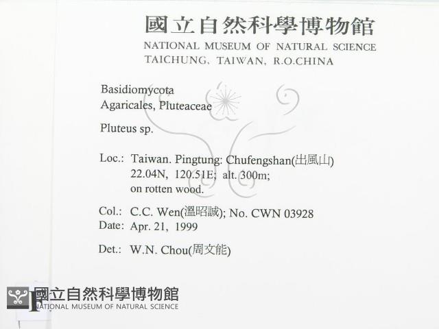 登錄號:F0012685藏品圖，第2張