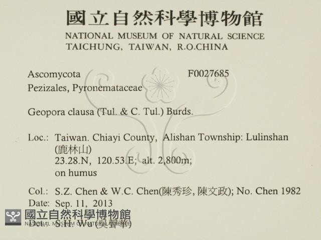登錄號:F0027685藏品圖，第2張