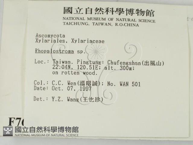 登錄號:F0007685藏品圖，第2張