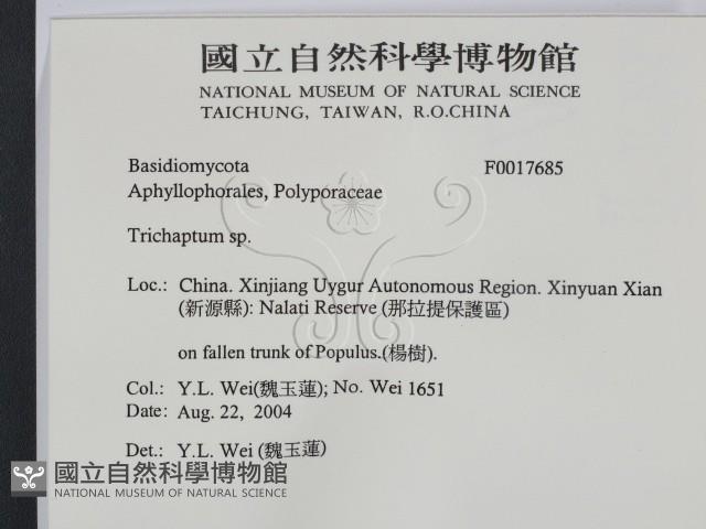 附毛菌屬藏品圖，第2張