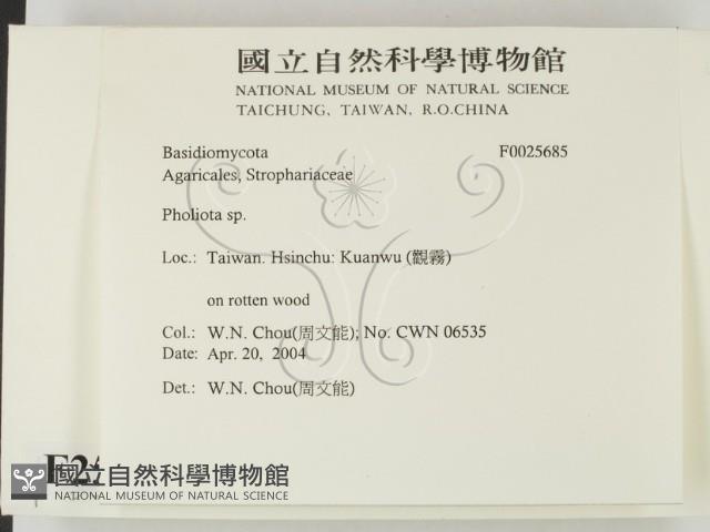 登錄號:F0025685藏品圖，第2張