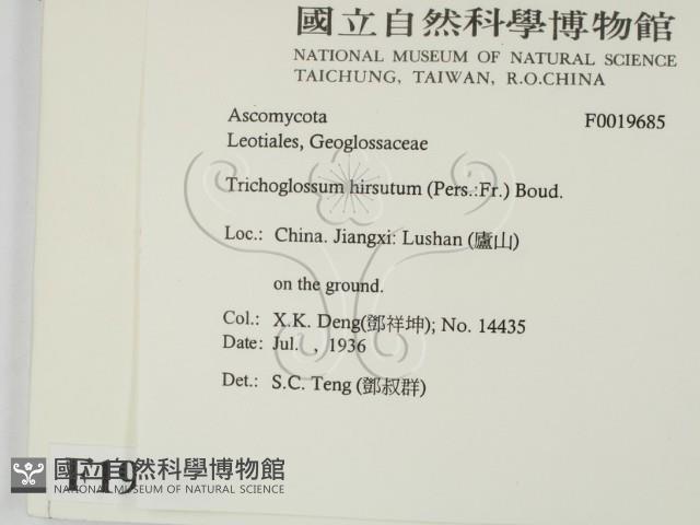 登錄號:F0019685藏品圖，第2張