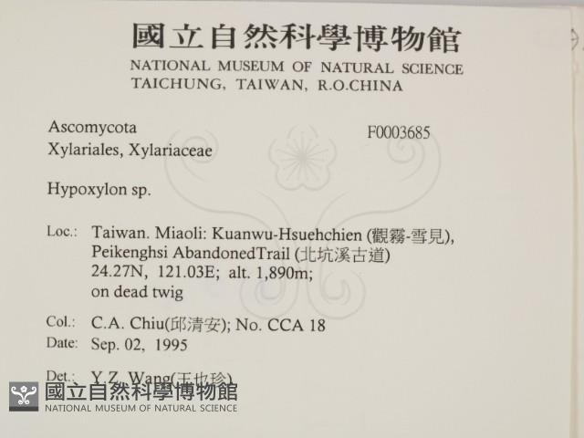 登錄號:F0003685藏品圖，第2張