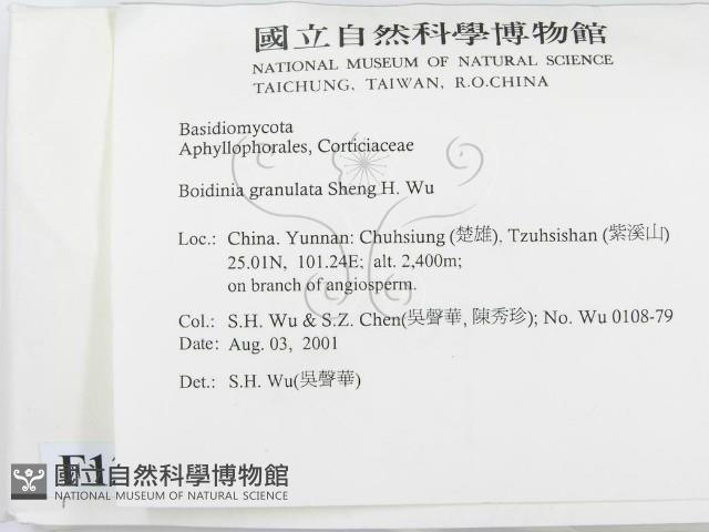 登錄號:F0013685藏品圖，第2張
