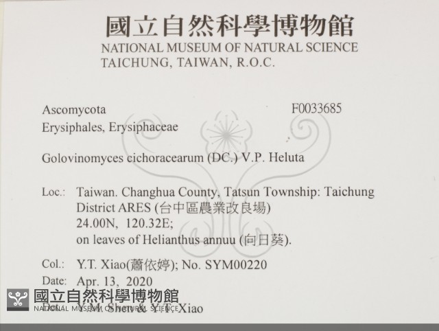 登錄號:F0033685藏品圖，第2張