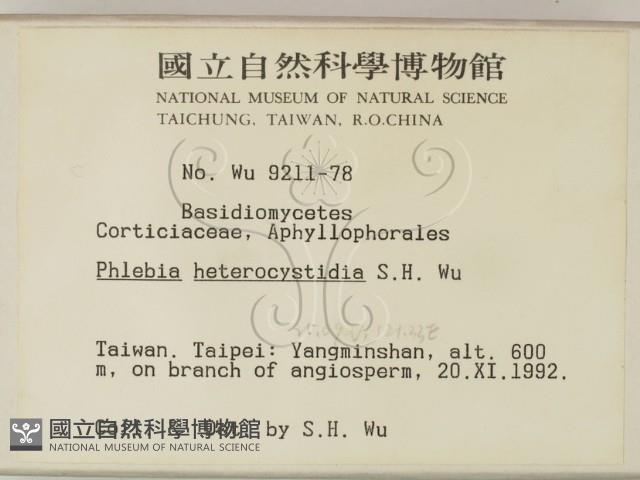 登錄號:F0000485藏品圖，第2張