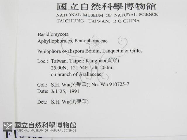 登錄號:F0010485藏品圖，第2張