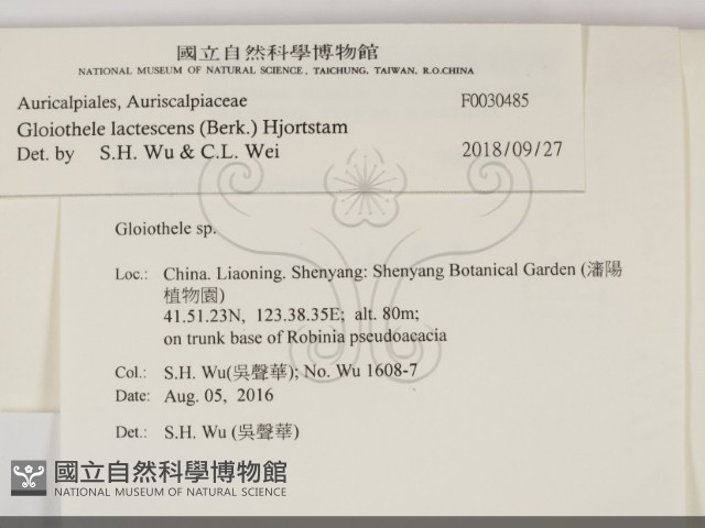 登錄號:F0030485藏品圖，第2張