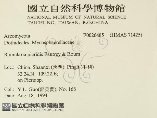 登錄號:F0026485藏品圖，第2張