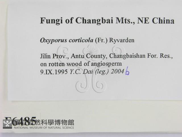 登錄號:F0006485藏品圖，第2張